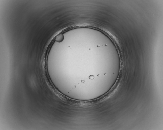 X0000116430933200912081217