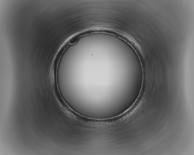 X0000116430934200912081217