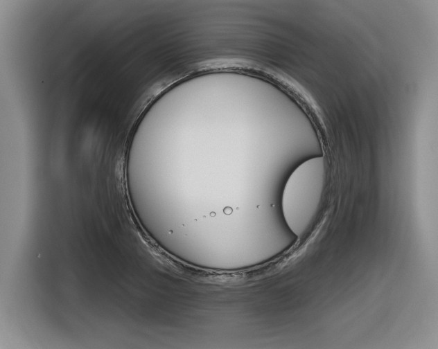 X0000116430937200912081217