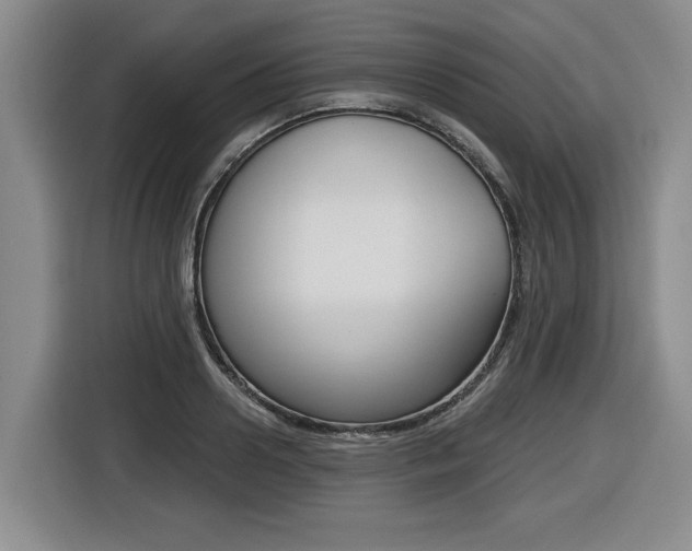 X0000116430938200912081217