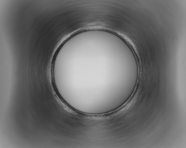 X0000116430941200912081218