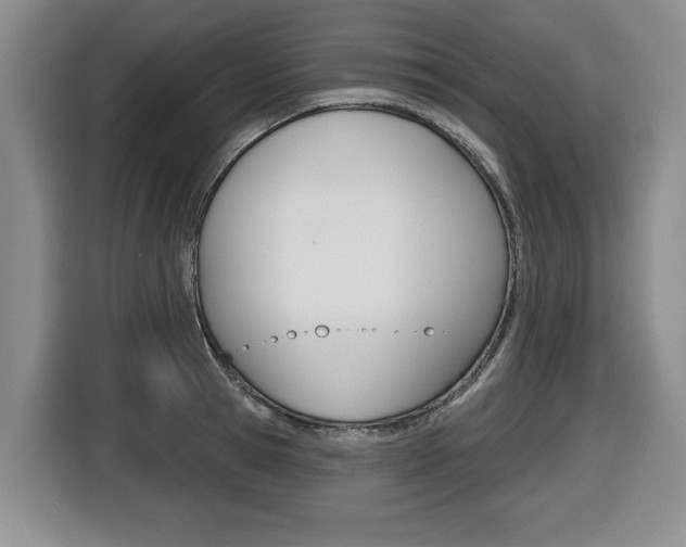 X0000116430945200912081218