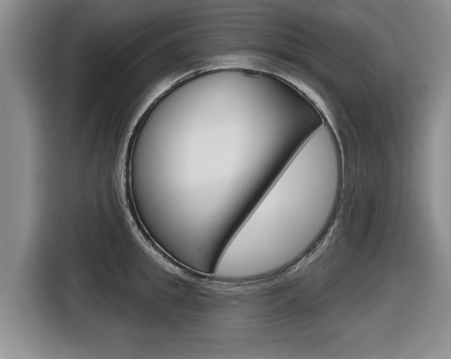 X0000116430949200912081218