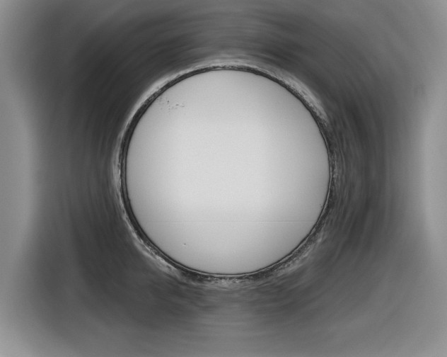 X0000116430950200912081218