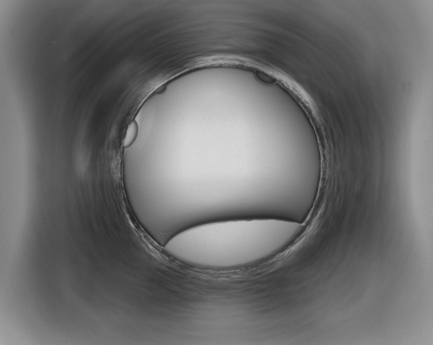 X0000116430953200912081218