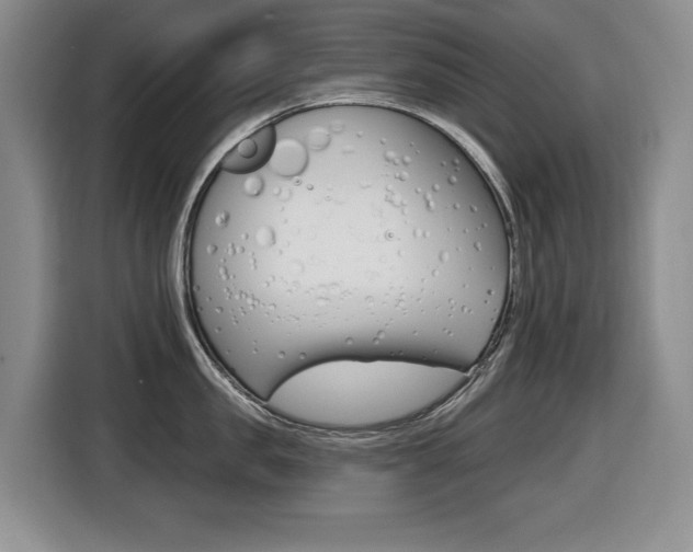 X0000116430957200912081218
