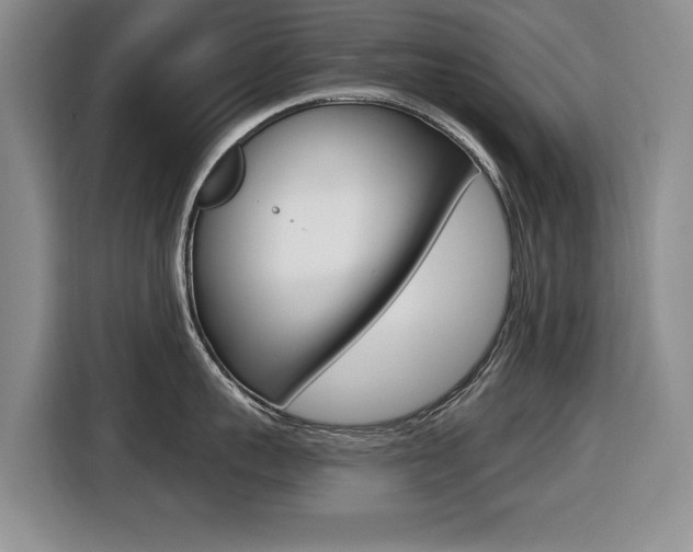X0000116430959200912081218