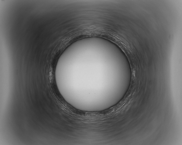 X0000116430963200912081217