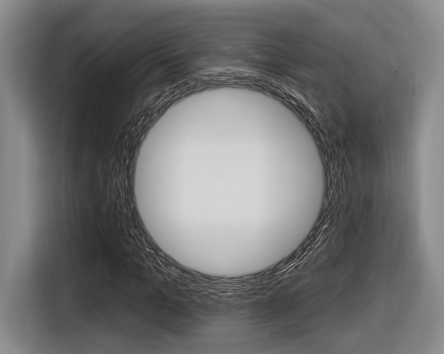 X0000116430965200912081217