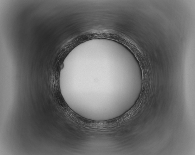 X0000116430966200912081217