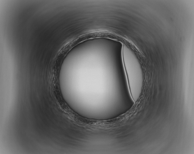 X0000116430967200912081217