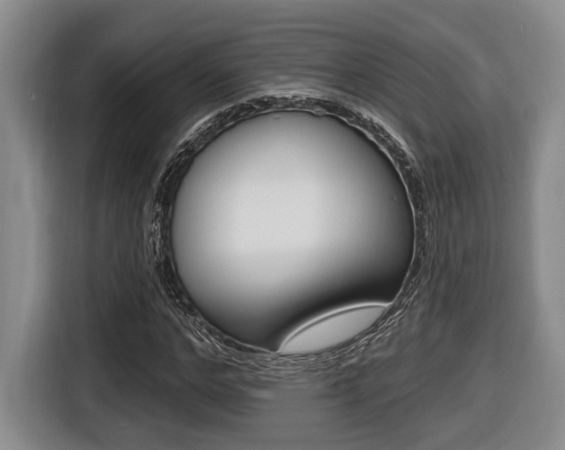 X0000116430968200912081217