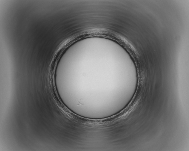 X0000116430970200912081217