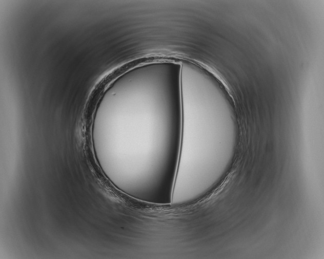 X0000116430971200912081217