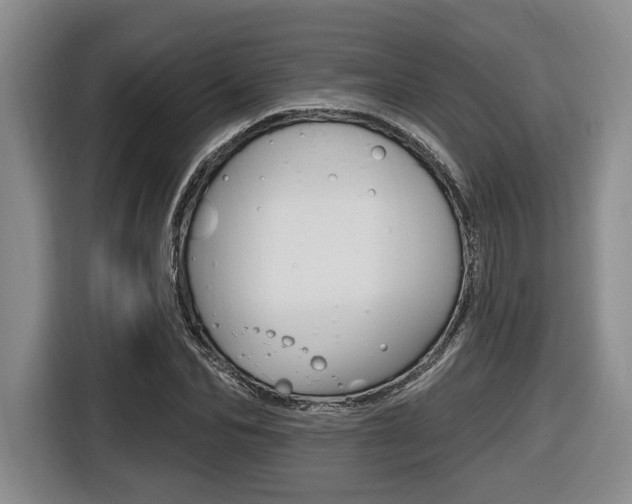 X0000116430974200912081217