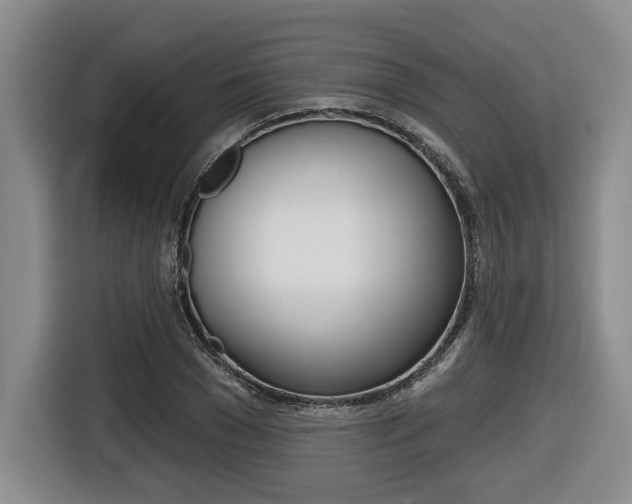 X0000116430977200912081217