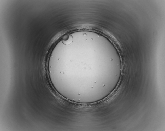 X0000116430978200912081217