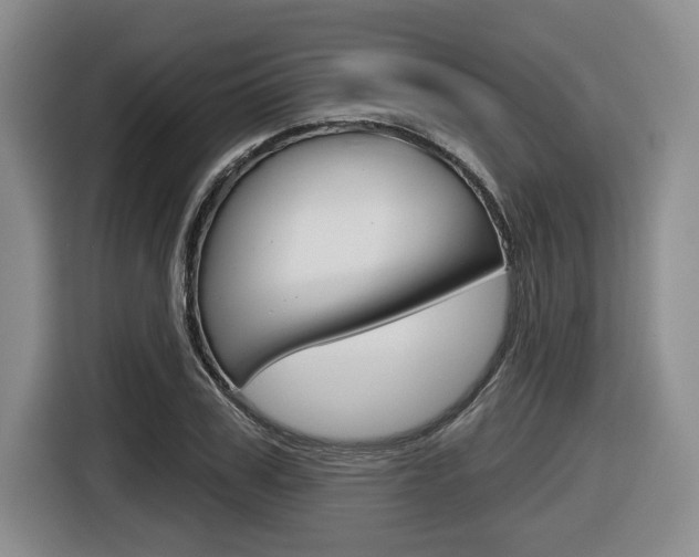 X0000116430979200912081217