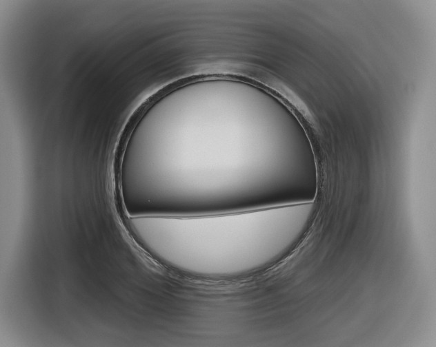 X0000116430980200912081217