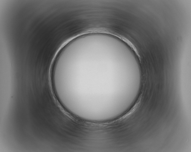 X0000116430981200912081217