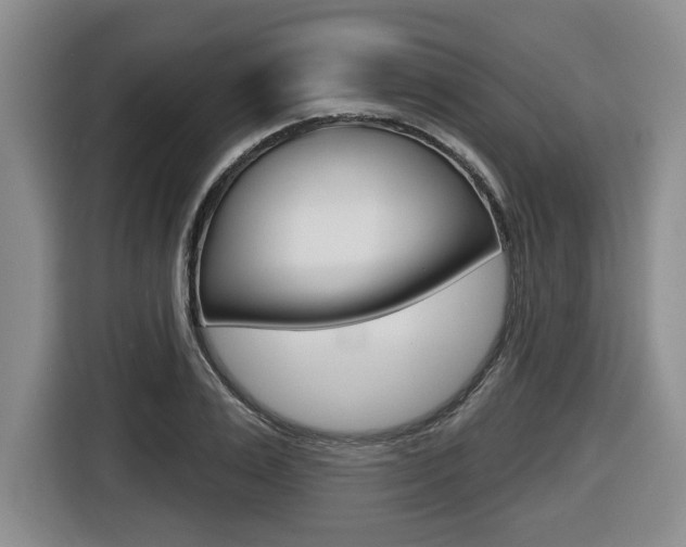 X0000116430983200912081217
