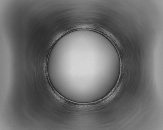 X0000116430985200912081217