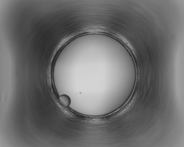 X0000116430986200912081217