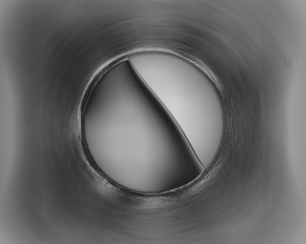 X0000116430988200912081217