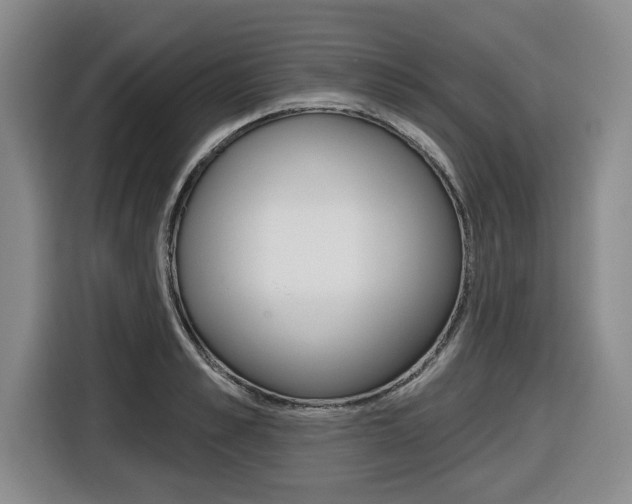 X0000116430989200912081217