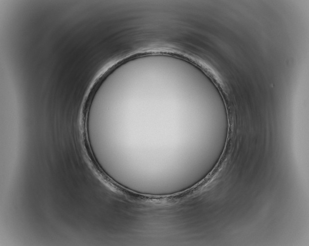 X0000116430990200912081217
