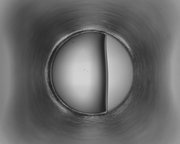 X0000116430991200912081217