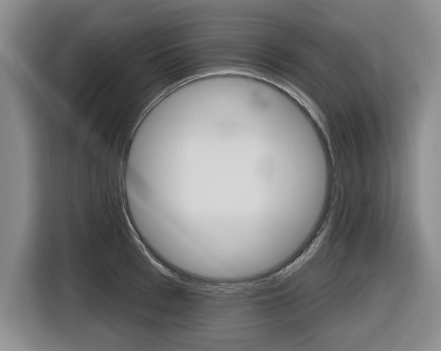 X0000116430993200912081217