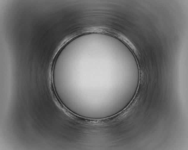 X0000116430994200912081217