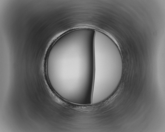 X0000116430995200912081217