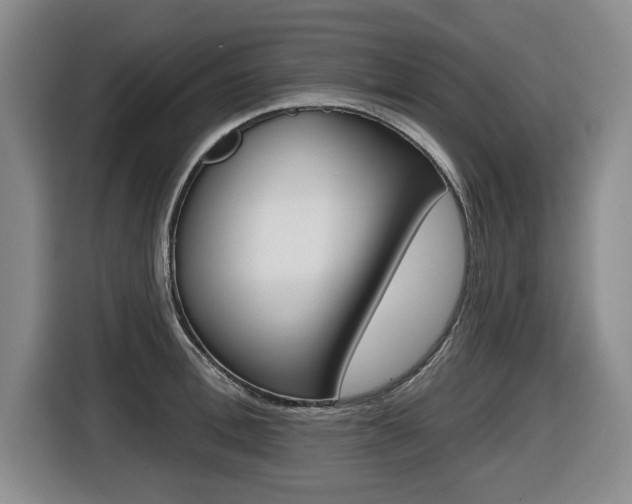 X0000116430996200912081217