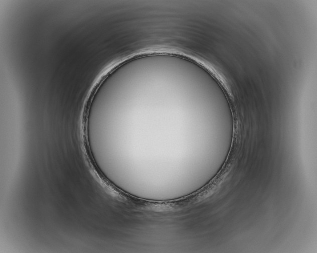 X0000116430998200912081217