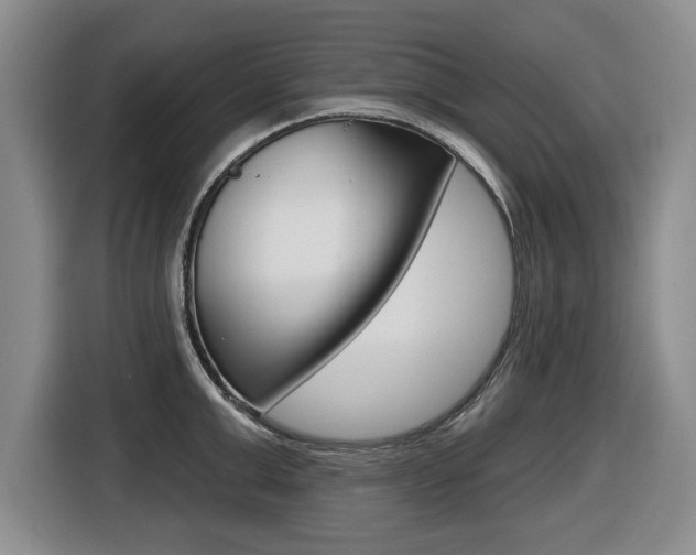 X0000116430999200912081217
