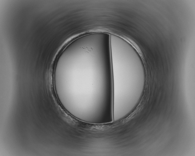X0000116431000200912081217