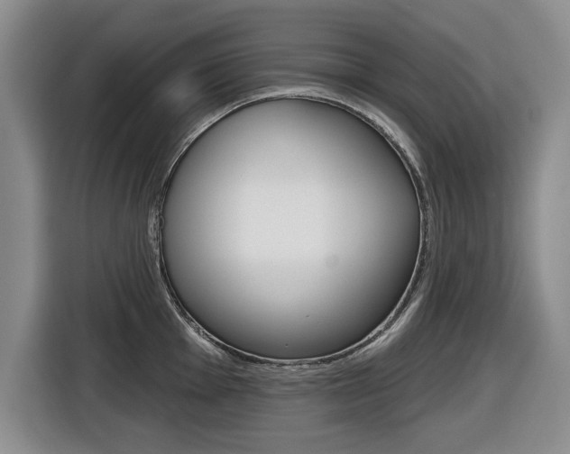 X0000116431001200912081217