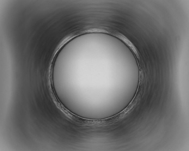 X0000116431002200912081217
