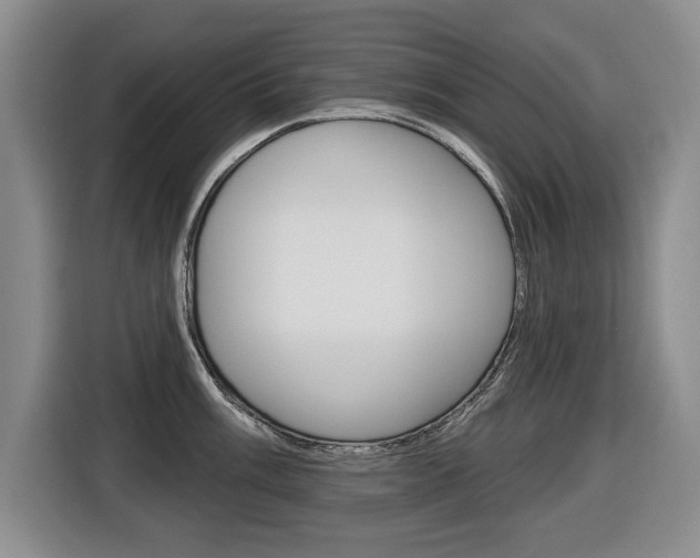 X0000116431003200912081217