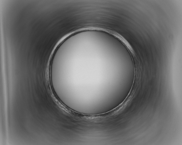 X0000116431004200912081217
