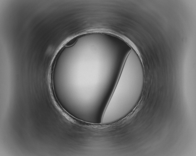 X0000116431005200912081217
