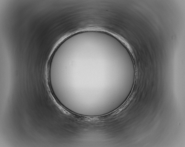 X0000116431006200912081217