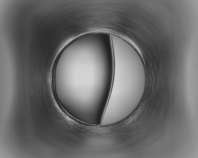 X0000116431007200912081217