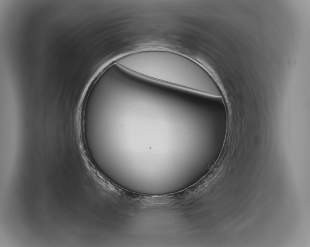 X0000116431008200912081217
