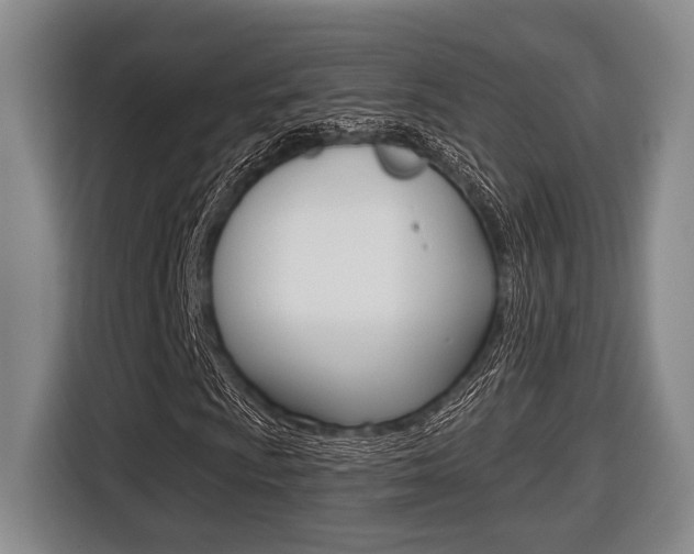 X0000116431009200912081216