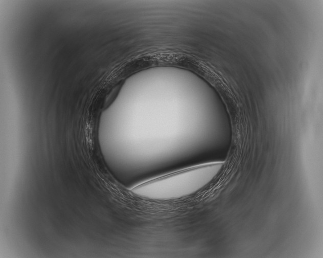 X0000116431010200912081216