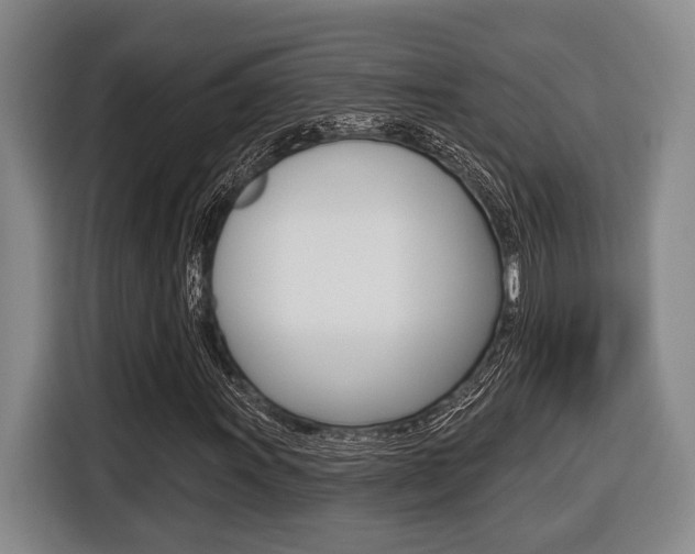 X0000116431011200912081216