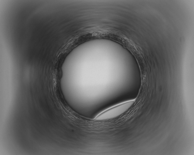 X0000116431012200912081216